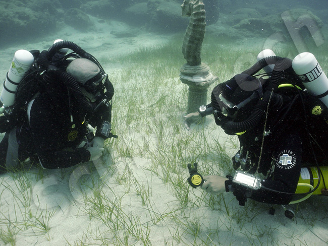 Discover Scuba Divers at Green Bay